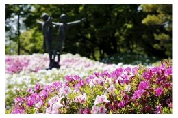 ③ 緑化推進事業