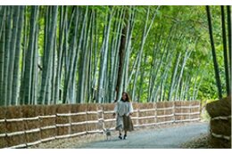 ⑤緑につつまれ、安全で快適な住みやすいまちづくり