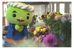 ②｢世界に誇れる花のまちづくり」を応援