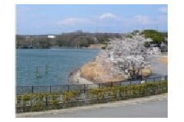 東郷町の豊かな自然を守るために【自然・環境】