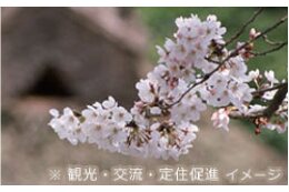 ④明るく健康的な生活のために