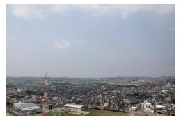 その他町長にお任せします