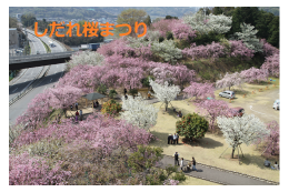 2 自然豊かに美しく(環境に関する事業)