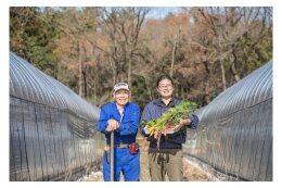 農林商工業の振興