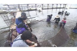 産業の振興