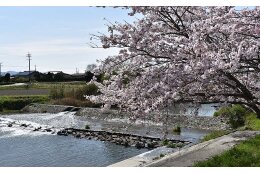 3.環境・緑化施策