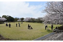 5.地域づくり・コミュニティ・ボランティア施策