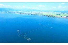 16.世界農業遺産「琵琶湖システム」と美しい棚田を未来へ