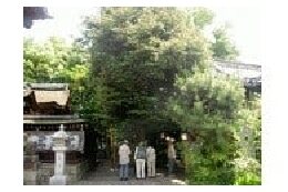 ９　自然環境の保全に関する事業