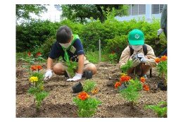 5．ホタルと花いっぱいのまち応援事業〔地球環境保全・環境学習都市〕