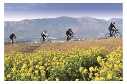 11．「ビワイチ」のまち応援事業〔自転車〕