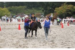 7.地域資源を活かした元気なまちづくり（馬関連）