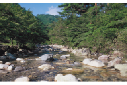 ３．豊かな自然環境の保全
　　（環境保全・衛生）