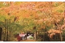 歴史文化遺産の周辺環境整備に関する事業