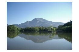 ・自治体におまかせ
