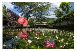 ・【環境・防災】水清く緑あふれる自然と共生する安全なまちづくり
