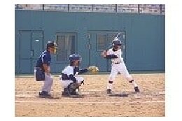 教育またはスポーツ・文化の振興に関する事業