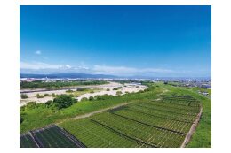 商工業・農業の支援、環境施策や道路整備など働きやすく暮らしやすいまちづくりを応援