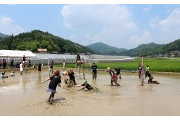 ６．住民自治と協働によるまちづくり