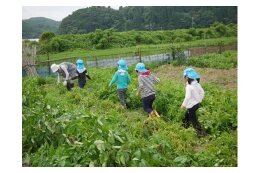 少子・高齢化対策に係る事業