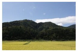 農林水産業の振興に係る事業