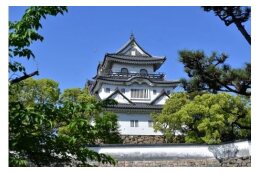 3.岸和田城周辺等の観光のために