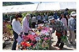 005 商工、農林及び園芸の振興