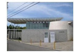 文化・スポーツ振興に関する事業
