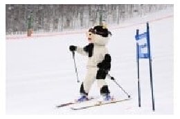 4　文化及びスポーツの振興に関する事業