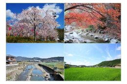 ⑦環境の保全及び創造に関する事業       
