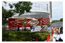 文化・芸術活動及びスポーツ活動