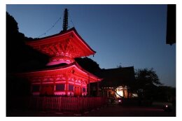 文化及び芸術の振興