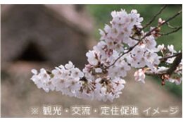 ⑦まちの魅力をPRする事業