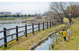 緑のまちづくりの推進に関する事業