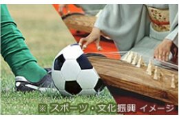 教育・文化・芸術に関する事業