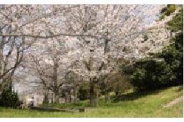 ①かなんエコ事業
