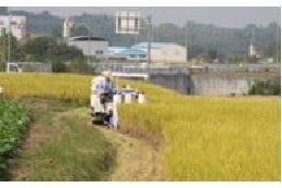 ⑤生き活きとしたまちづくりに関する事業