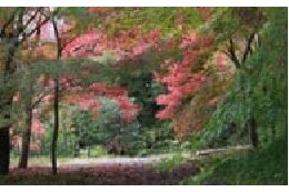 ⑧町長におまかせ