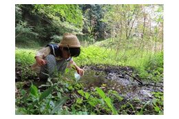 3.持続可能なまちづくり（森林・里山の再生、環境保全、農水産業の活性化など）