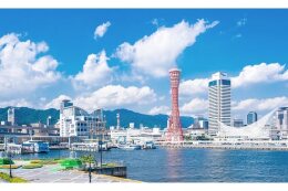 7.市長におまかせ