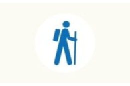 スポーツの振興及び健康増進に関する事業