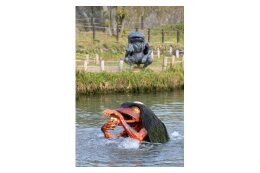 (6)　観光まちづくり（ガジロウなどの妖怪事業）や環境整備に資する事業