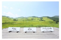その他町長が必要と認める事業