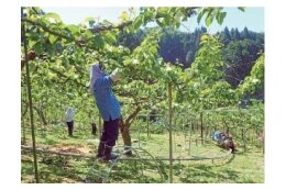５　ふるさとの環境を守り、風土を生かした産業の推進を図る事業