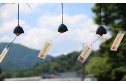 使途を指定しない