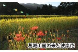 ②財政健全化のために