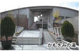 ④保健・医療・福祉の充実のために