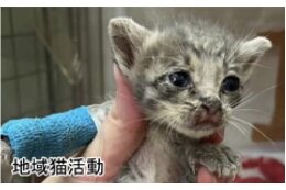 ⑤自然環境・生活環境の保全のために