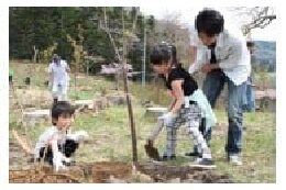 (2)恵まれた自然景観・環境を守るための植樹等の事業