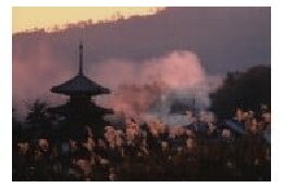 調査研究成果の公表・発表